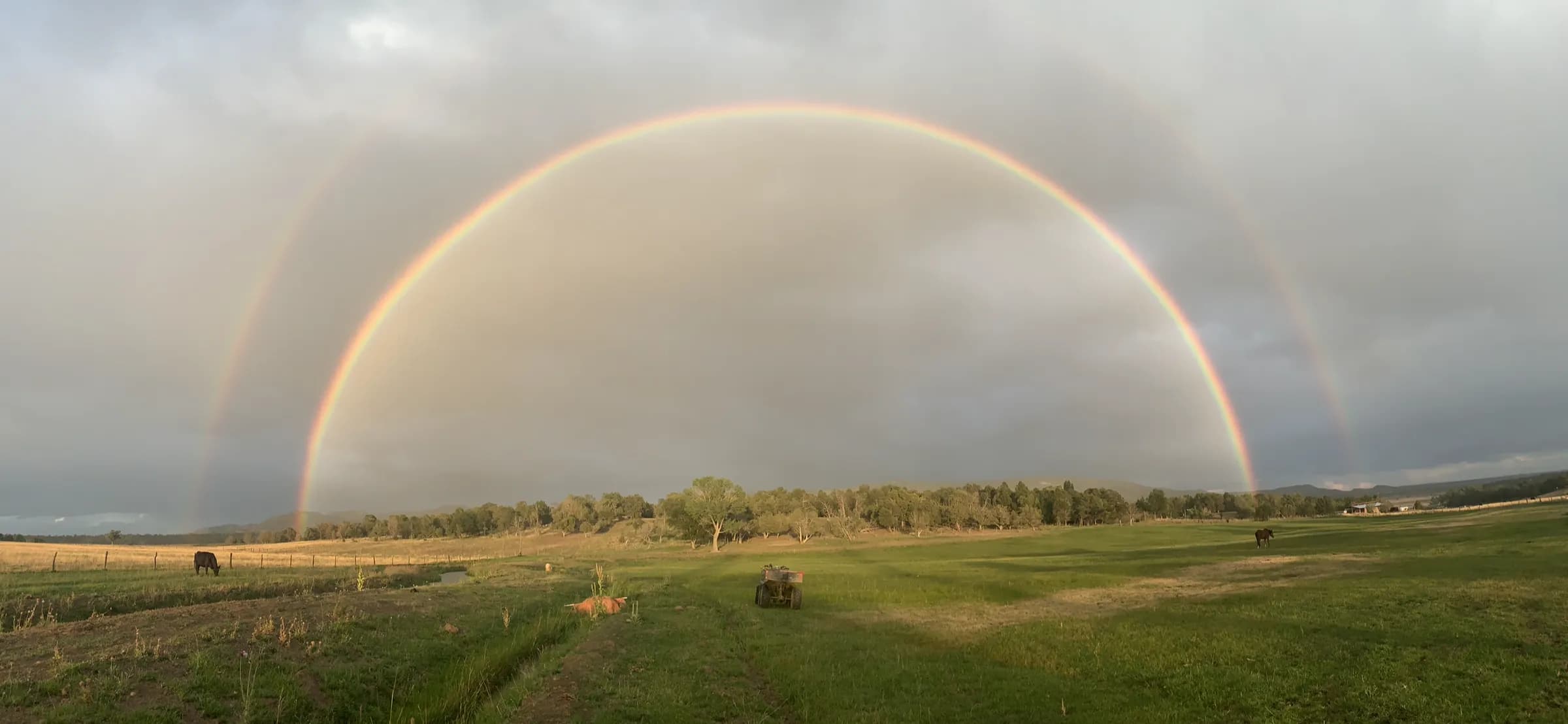 A double rainbow arcs over a green pasture with grazing horses and a line of trees.