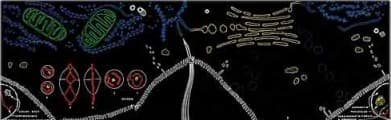 Biological Cell cylinder film showing a magnified cell.